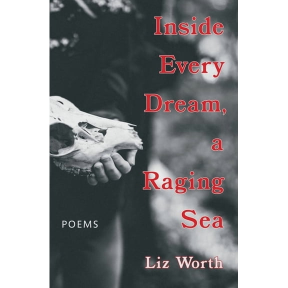 Inside Every Dream, a Raging Sea, (Paperback)