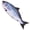 Salmon, variant on Electric Floppy Fish Cat Toy, Moving Cat Kicker Fish Toy, 11" Realistic Flopping Fish Dog Toys, Plush Interactive Cat Toys for Indoor Cats, Wiggle Fish Dog Toys