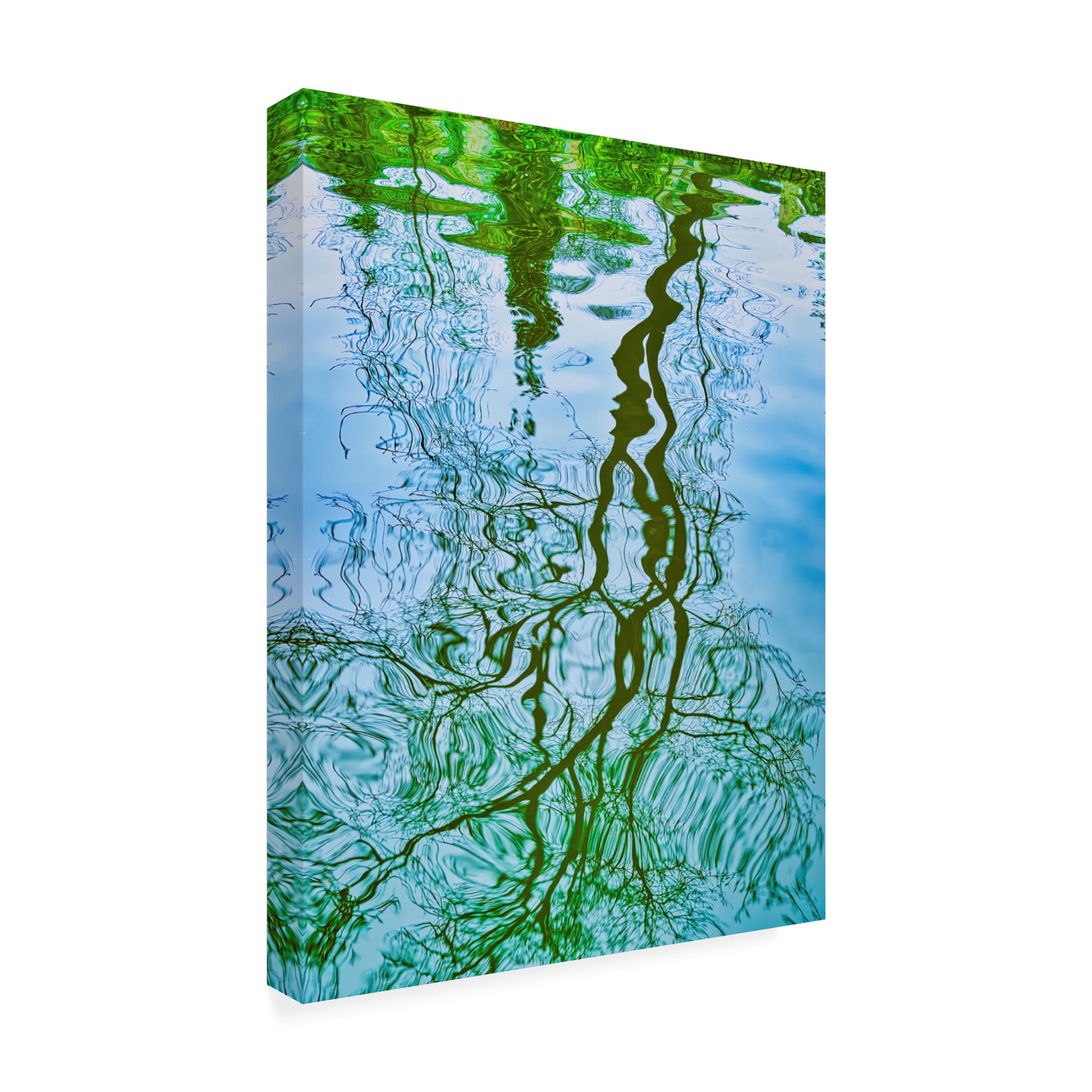Canvas Wall Art - Mark A Paulda 'Tree Reflection' Wall Art for Living Room, Bedroom, or Office Décor by Trademark Fine Art - 18 x 24 Inches