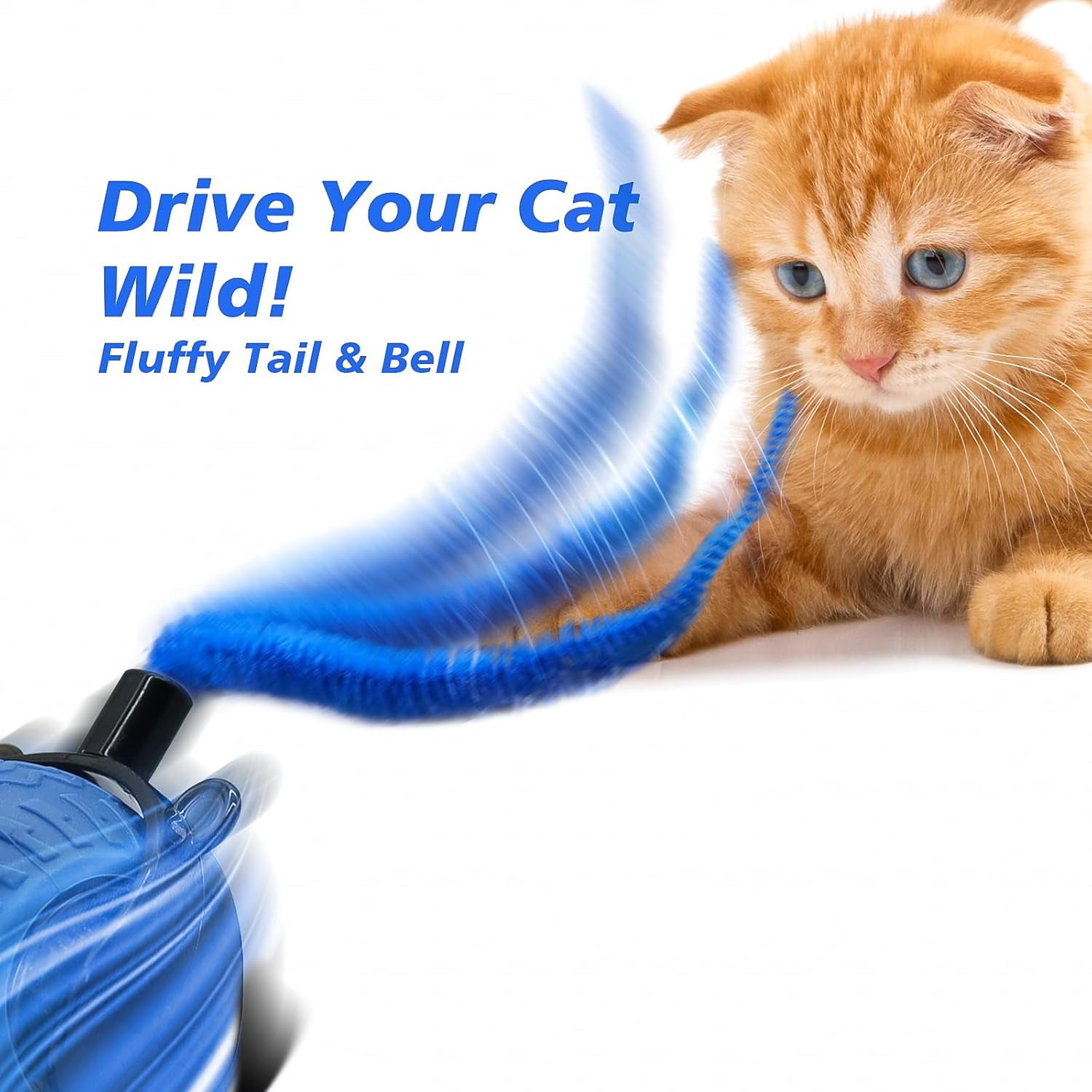 2Pcs Interactive Cat Toy for Indoor Cats, Speedy Ball with Tail, Automatic Moving Cat Balls for Bored Indoor Adult Cats, 360°Automatic Rolling Ball Toy, Two Speed Adjustment（Orange&Blue）