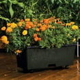 thumbnail image 3 of EarthBox Original Garden Kit with Standard 7-7-7 Fertilizer - Dark Green, 3 of 8