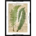 thumbnail image 5 of Art.com Fern Folio III Art Print by Vision Studio, Black Frame Wall Art, 17" x 23", 5 of 5