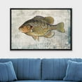 thumbnail image 2 of wall26 Framed Canvas Print Wall Art Redear Sunfish on Granite Background Marine Life Animals Digital Art Realism Nautical Scenic Colorful Ultra for Living Room, Bedroom, Office - 16"x24" Bl, 2 of 5