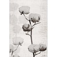 thumbnail image 2 of Great Art Now Cotton Stem 1 by Denise Brown, Framed Wall Art, 16.5W x 22H, 2 of 2
