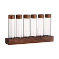 thumbnail image 1 of Glass Test Tube Display Stand Tools Single Tube Storage Coffee Bean Dispensing Bottle Coffee Sealed, 1 of 5