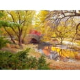thumbnail image 2 of Frank, Assaf 24x19 Gold Ornate Wood Framed with Double Matting Museum Art Print Titled - Gapstow bridge in autumn-Central Park-New York city, 2 of 4