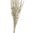 thumbnail image 4 of 40" Handmade Tall Floral Grass Bouquet Dried Plant Natural Foliage Palm Leaf Bouquet with Gray Accents, by DecMode, 4 of 7