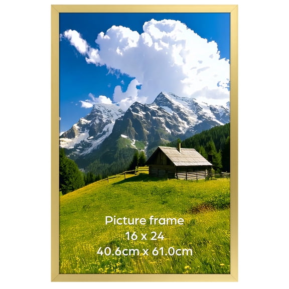 16x24 Picture Frame for Wall Mount Photo & Poster Display, Gold