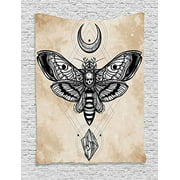 Black Moth with Skull Face in Gothic Grunge Style Connect with Crescent Moon and