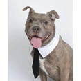 thumbnail image 1 of Corbata para perros, collar de algodón para mascotas con lazo negro para perros y gatos (1 unidad, L), 1 of 4