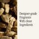 thumbnail image 4 of Aceite esencial de pan de jengibre Pura K. Hall, paquete de 2, 120 horas, 4 of 7