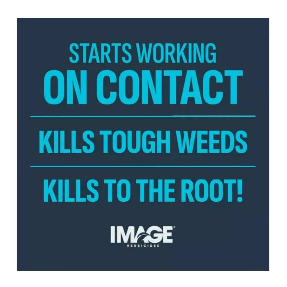 Image 100523495 All-in-One Lawn Weed Killer Concentrate 6,000 sq. ft. Coverage Area, 24 oz.