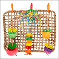 thumbnail image 2 of Super Bird Creations Seagrass Foraging Wall Toy for Birds, 2 of 7
