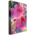 thumbnail image 2 of Trademark Fine Art Sheila Golden 'Pink Blossoms' Canvas Art 14x19 Inches (SG033-C1419GG), 2 of 2