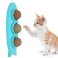 thumbnail image 4 of Ymiko Catnip Wall Balls, Multipurpose Catnip Wall Ball Toys With Sticker Glue For Cats, 4 of 8