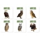 thumbnail image 2 of Bird Encyclopedia Owl Pattern Restaurant Pot Insulation Mat 6pc, 2 of 7