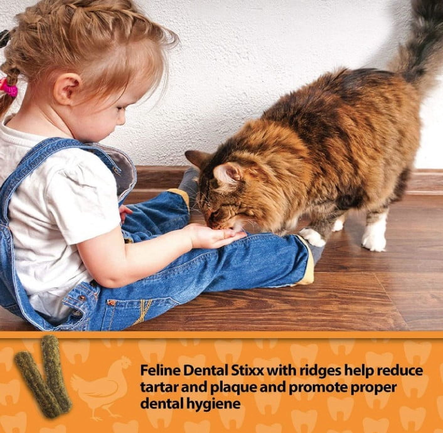 6 Pack Emerald Pet Feline Dental Stixx Chicken and Pumpkin Recipe [Cat Dental Treats, Bulk Cat Supplies, Emerald Pet] 21.6 oz (6 x 3.6 oz)