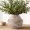 1-terracotta/5.2ā, variant on Ceramic Vase Home Decor, 8in White Waterproof Pottery Vases, Flower Terracotta Vases for Farmhouse Table Centerpieces, Home Decor, Living Room