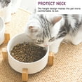 thumbnail image 5 of Petygooing Juego De Cuencos De Cerámica Para Perros Y Gatos Con Soporte, Plato De Agua Y Comida Para Perros, Cuencos Medianos Para Mascotas, Juego Antideslizante De 2 Cuencos Para Gatos, Cuenco Blanco, 5 of 5