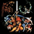 thumbnail image 4 of Super7 - ThunderCats - DELUXE Wv2 - Figurine d'Action Tygra, 4 of 6