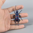 thumbnail image 3 of 12 Pcs Jouets de Simulation d'Insectes, Ressources Éducatives pour Enfants, Figurines d'Insectes Réalistes, 3 of 5