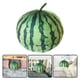 thumbnail image 5 of Almohada de peluche con forma de sandía para abrazar, linda simulación de fruta, suave y divertida almohada con forma de fruta, juguete de sandía relleno, 5 of 7