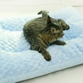 thumbnail image 6 of YOHAVEN Pet Sleeping Mat Thick Cozy Bed Small Medium Dogs Cats Non-Slip Floor Sofa Crate Cushion Comfort Rest Indoor Outdoor Holiday Decor, 6 of 6