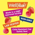 thumbnail image 4 of WellYeah Melatonin 10mg Gummies (2 Pack) - 2 Month Supply - Berry Flavor, Drug-Free Gummy Supplement - Gluten and Gelatin Free, Vegetarian - 60, 4 of 8