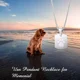 thumbnail image 5 of Collar De Urna Para Cenizas De Mascota, Acero Inoxidable, 2u, 5 of 7