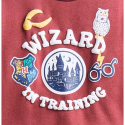 Harry Potter, variant on Harry Potter Baby Boys Fleece Sweatshirt and Pants Set, 2 Piece, Sizes 0/3M-24M