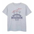 thumbnail image 1 of Harry Potter Boys Quidditch T-Shirt, 1 of 2