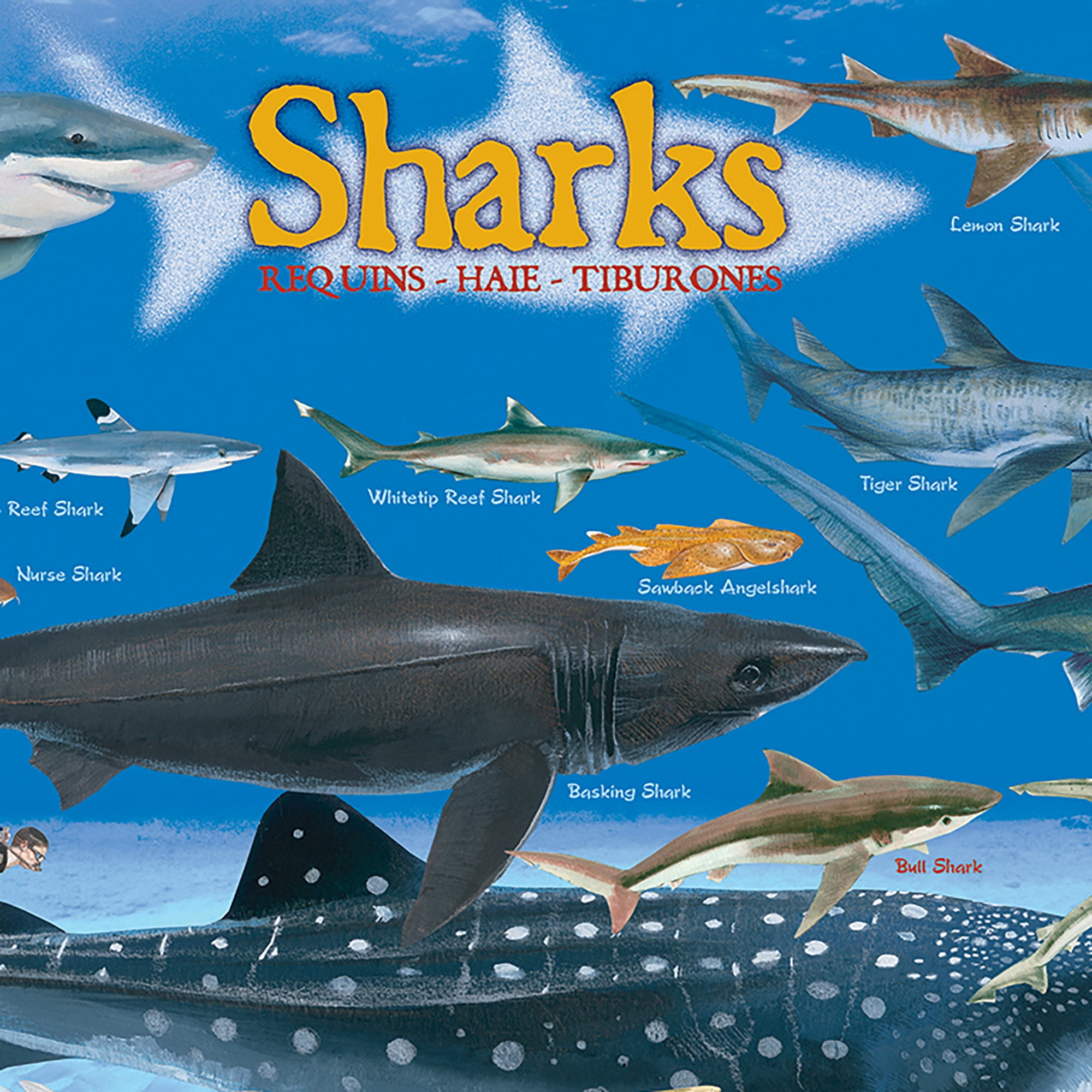 bd9a44ca-ae69-4de5-92b0-