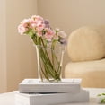 thumbnail image 2 of Plastic Imitation Glazed Vase Set 7.87-7.28in Clear Glass-Look Flower Pots - Multi-Size Living Room Cabinet Dried Flower Decoration (Clear/C)​, 2 of 6