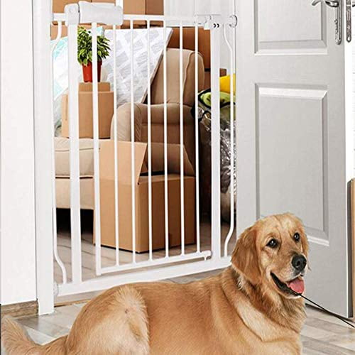 pet safety gate