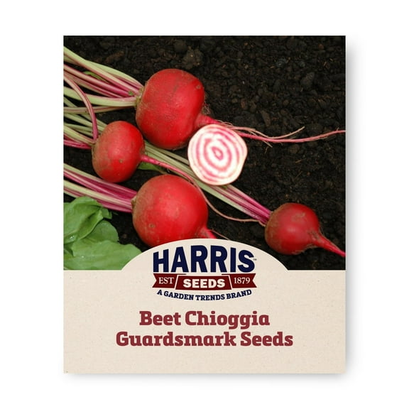 Harris Seeds - Chioggia Guardsmark Organic Beet Seeds – Candy-Striped Roots, Sweet - 250 Seeds