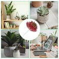 thumbnail image 5 of Uxcell Mini Artificial Succulents Unpotted Faux Succulent Picks Fake Succulent Plants Burgundy Green 4 Pack, 5 of 5
