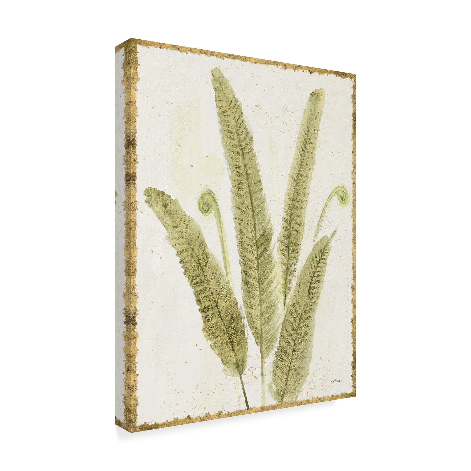 Trademark Fine Art 'Forest Ferns II v2 Antique' Canvas Art by Albena Hristova