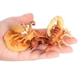 thumbnail image 4 of Simulación diario de escorpión Sunnimix Juego de crecimiento de insectos para niños, 4 of 8