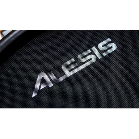 Alesis 10" Dual-Zone Mesh Head Electronic Drum Pad