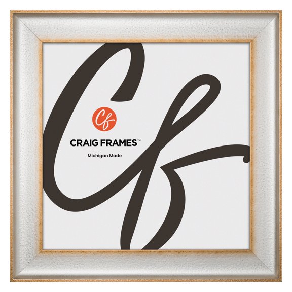 Craig Frames Cairo, 20x20 Picture Frame, Silver