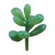 thumbnail image 1 of 10 Piezas de Suculentas Falsas Yuarrent, 1 of 6