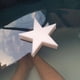 thumbnail image 5 of 5/10 Uds. Esponja flotante absorbente de aceite limpiadores de filtros multifuncionales en forma de estrella, 5 of 7