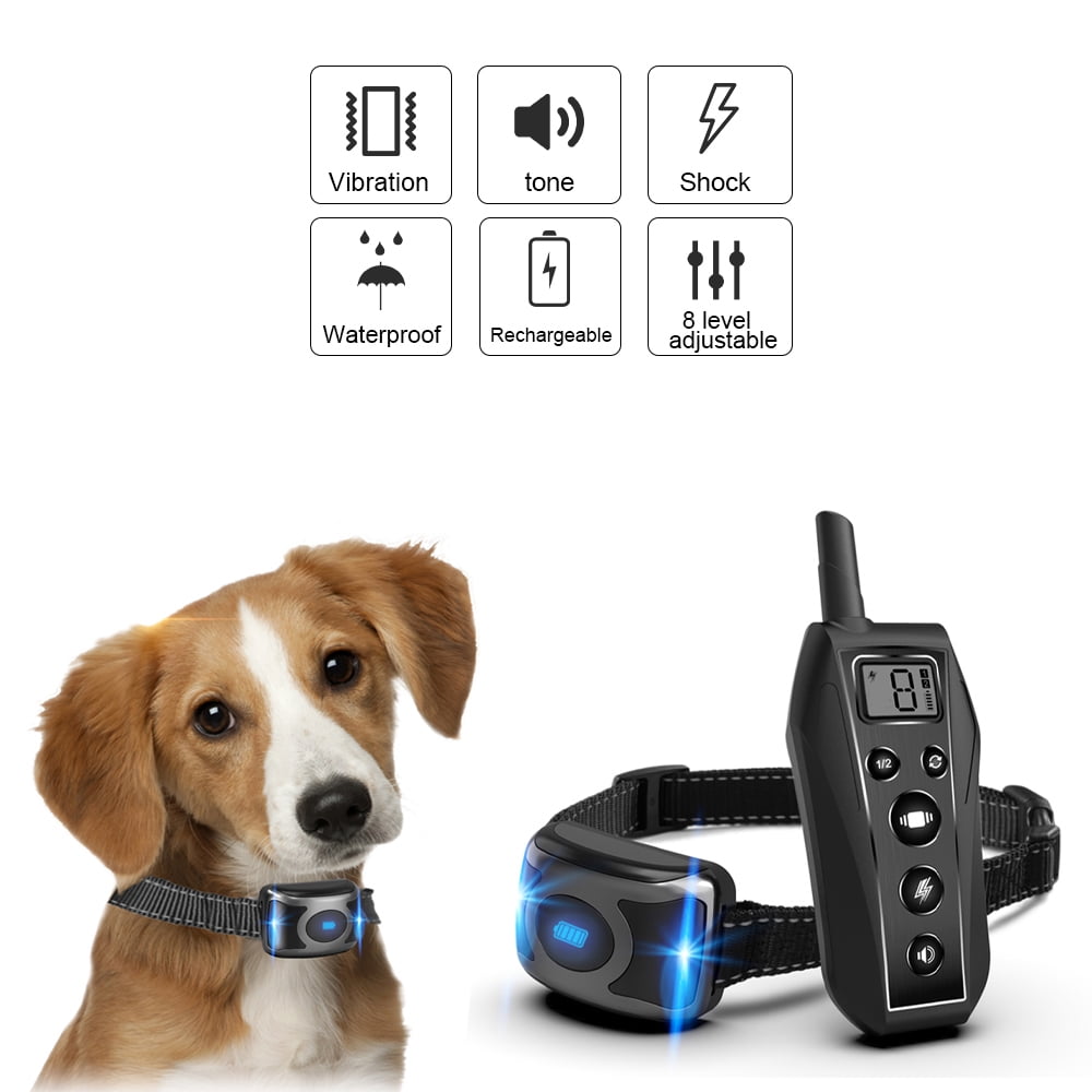 vibration and tone dog collar