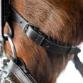 thumbnail image 4 of Horze Vienna Weymouth Dressage Bridle, 4 of 7