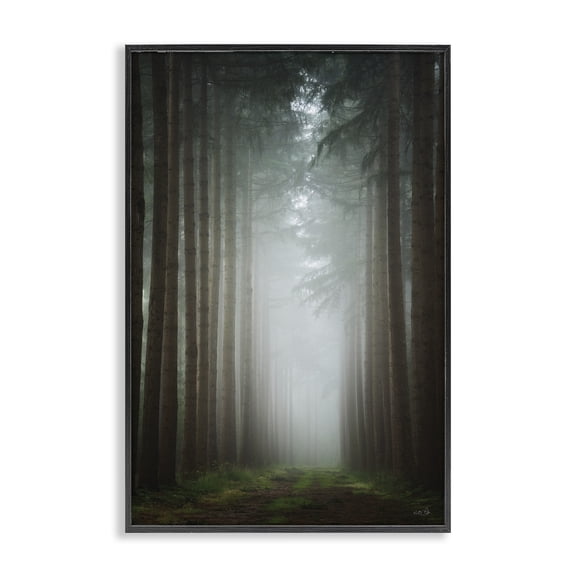 Stupell Industries Farmhouse Moonlight Through Dark Forest Black Framed Giclee Art, 12 x 18, by Martin Podt