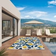 thumbnail image 2 of Lemon Outdoor Rug 4x6 Ft, Non Slip Washable Area Rug, Watercolor Yellow Blue Fruit Branch Flower Patio Rugs Carpet Runner, Large Floor Mat for Indoor/Outdoor Deck Porch Camping, 2 of 8