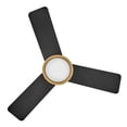 thumbnail image 6 of Hinkley Lighting - Chet - 3 Blade Ceiling Fan with Light Kit In Modern, 6 of 22