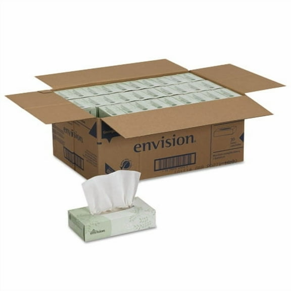 Envision White Facial Tissue, 2-Ply, White, 100 Sheets/Box, 30 Boxes/Carton | Bundle of 2