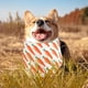 thumbnail image 5 of para perro de Pascua, collar para mascotas, babero suave para perros Zanahorias Zulema  Pañuelo de perros de Pascua, 5 of 8