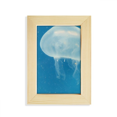 thumbnail image 1 of Ocean Jellyfish Science Nature Picture Desktop Display Photo Frame Picture Art Painting 5x7 inch, 1 of 3